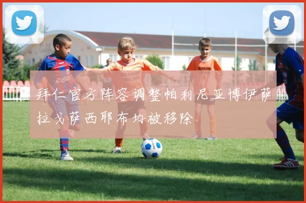 拜仁官方阵容调整帕利尼亚博伊萨拉戈萨西耶布均被移除